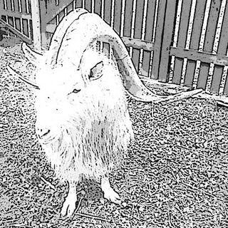 Логотип телеграм канала @belsatanist — Белорусский Сатанист