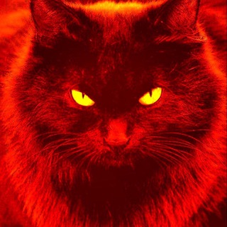 Telegram channel Белогорск-стёб. logo