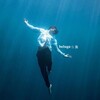 电报频道的标志 belugakpopshop — 𝐛𝐞𝐥𝐮𝐠𝐚 !¡ 海 shop