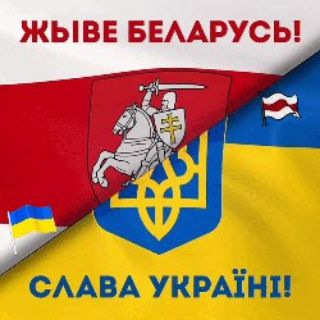 Лагатып тэлеграм-канала belukr — Беларуска-Українська Русь - 97%