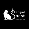 Logo of telegram channel bengalbestlife — Bengal Best cattery 🐆