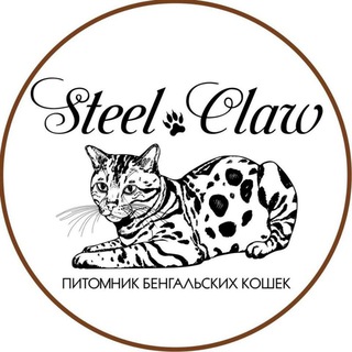 Telegram арнасының логотипі bengalcats_almaty — Питомник бенгальских кошек "Steel Claw"