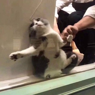 Логотип телеграм канала @beotor — Журнал beotor chobа † (периодическое издание по подписке)