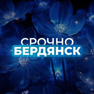 Telegram channel Срочно Бердянск‼️ logo