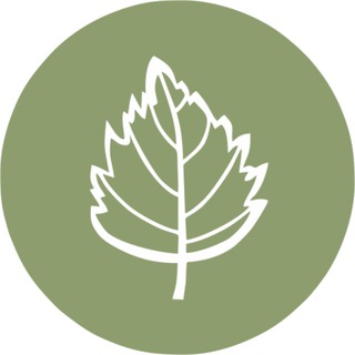 Логотип телеграм канала @bereza_knife — BERËZA. НОЖИ ДЛЯ КУХНИ