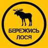 Telegram channel Бережись Лося logo