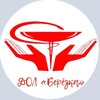 Логотип телеграм канала @berezkailinka — ДОЛ «Березка»