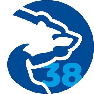 Логотип телеграм канала @berloga38 — Единая Россия | Иркутская область