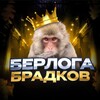 Логотип телеграм канала @berloga_bradkoov — Берлога Брадков️⚔️