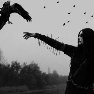 لوگوی کانال تلگرام berm0_oda — We are not your kind¡