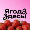 Логотип телеграм канала @berries_mo — Ягода Здесь | Ягоды из Кыргызстана