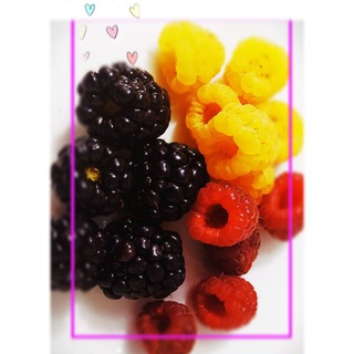 لوگوی کانال تلگرام berriesgram — بِرى گرام