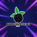 Logo saluran telegram berryblack365 — Berryblack365 ทุนฟรี