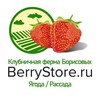 Логотип телеграм канала @berrystore_ru — Клубничная ферма Борисовых "berrystore.ru"