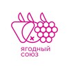 Логотип телеграм канала @berryunion — Ягодный Союз