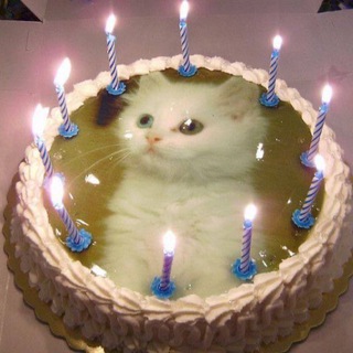 Logo of telegram channel berryyjam — фавсел пишет