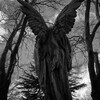 Логотип телеграм канала @berserkichk — Великий berserk