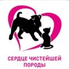 Логотип телеграм канала @berta_i_drug — БОПФ "Сердце чистейшей породы" Берта и её друзья