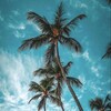 Логотип телеграм канала @beru_travels — ТУРЫ ☀️ ПУТЕШЕСТВИЯ 🌴 Beru_travels