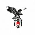 Telegram channel Beşiktaş Haberleri logo