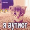 Логотип телеграм канала @besotttedwith — анастасия безоттедвиз