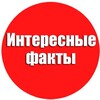 Логотип телеграм канала @bespolezno_info — Бесполезно, но интересно
