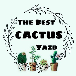 Logo saluran telegram best_cactus — The Best cactus (yazd)