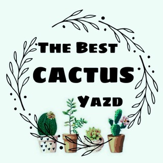 لوگوی کانال تلگرام best_cactus — The Best cactus (yazd)