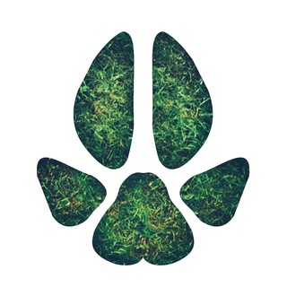 Логотип телеграм канала @best_home_pets — ZVEREK