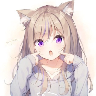 Логотип телеграм канала @best_kitties — те самые котики🐾