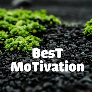 Logo saluran telegram best_motivation_m — 🇱🇰𝘽𝙚𝙨𝙏 𝙈𝙤𝙏𝙞𝙫𝙖𝙩𝙞𝙤𝙉☘️ 👻 (🍃𝙒𝙤𝙍𝙠 𝙃𝙖𝙍𝙙🎶 ｡◕‿◕｡🌸)