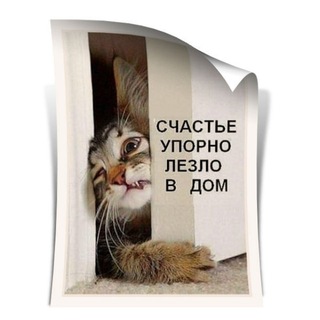 Логотип телеграм канала @best_videocl — The best humor