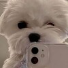 Логотип телеграм канала @best_beads_1 — . ◌ 𝗯𝗲𝗮𝗱𝘀 𝘄𝗼𝘄 || ᜊ ::