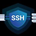 Logo saluran telegram best_ssh — Free PROXY|V2RAY|SSH