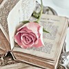 Логотип телеграм канала @bestbook_slr — Лучшие Книги. Современный любовный роман📚