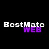Логотип телеграм канала @bestmate_web — BestMate | Ответы на ВсОШ, ОГЭ, ВПР СПО, РДР