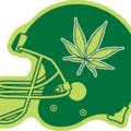 Logo saluran telegram bestofthebud — BestOfTheBud