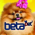 Logo saluran telegram betapet — حیوانات خانگی