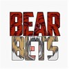 Логотип телеграм канала @bets_skill — Bear Bets