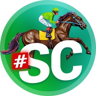 Логотип телеграм канала @bett_horse — Лошади | Скачки | Ставки | Прогнозы | Спорт | Sport | Horse betting | Forecasts