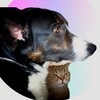 Логотип телеграм канала @betula2 — Екатерина Визгалова пошевелилась