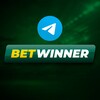 Logo of telegram channel betwinner_10 — BetWinner Partners ⚽️🌍