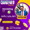 Telegram channel SCOFIELD KING 🏆🥇ملك التوقعات logo