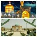 لوگوی کانال تلگرام beymorghmashhad — بیمرغیهای سراسر ایران