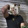 Логотип телеграм канала @bez_nakryta — Малой в напряге 🇷🇺