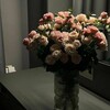 Логотип телеграм канала @bezamca001 — безамца🤍
