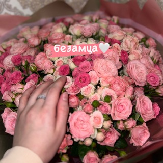 Логотип телеграм канала @bezamm7 — безамца🤍