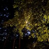 Логотип телеграм канала @bezdar_1234 — эквипотенциальная поверхность