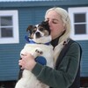 Логотип телеграм канала @bf_friendforeve — Приют Друг Навсегда🐕‍🦺