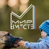 Логотип телеграм канала @bf_mirvmeste — МИР ВМЕСТЕ